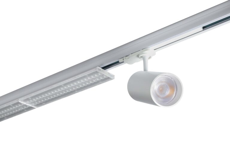 IMG_9994 拷贝 2白