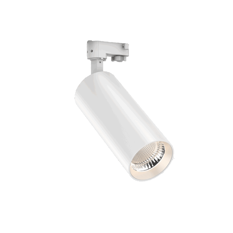 Spotlight 10
